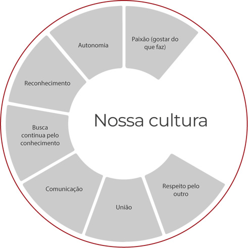 Cultura organizacional